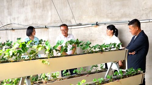 科技興農(nóng)繪藍圖 縣委書記楊家佳深入調(diào)研，擘畫鄉(xiāng)村產(chǎn)業(yè)振興新路徑